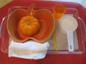 Pumpkin Washing 
