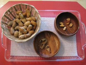 Shelling Peanuts (Caution: Allergies)