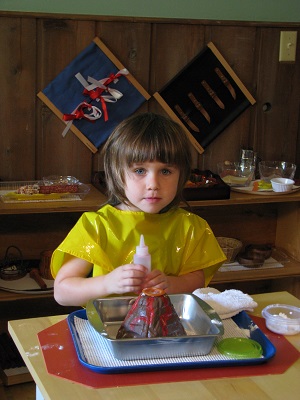 Science area lesson - baking soda and vinegar volcano