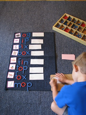 Language area lesson - cvc word building