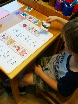 Language area lesson - animal word matching